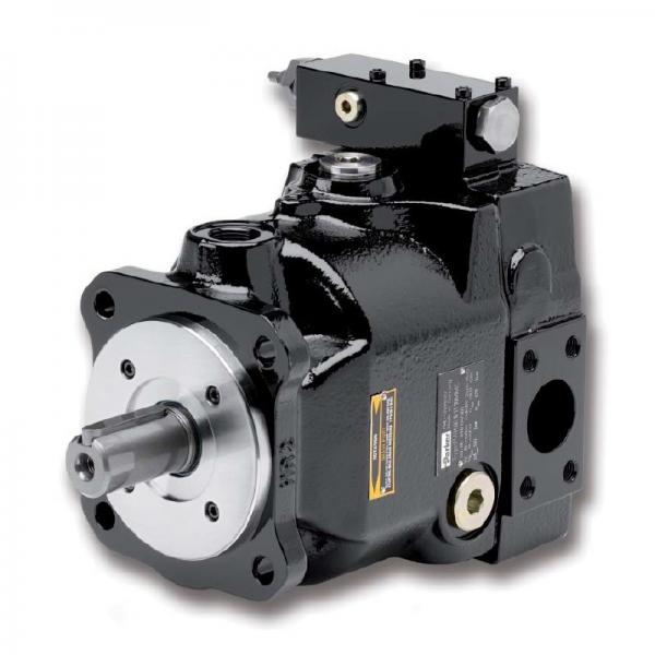 PAKER PV092 R1K1T1NMMC Piston Pump #1 image