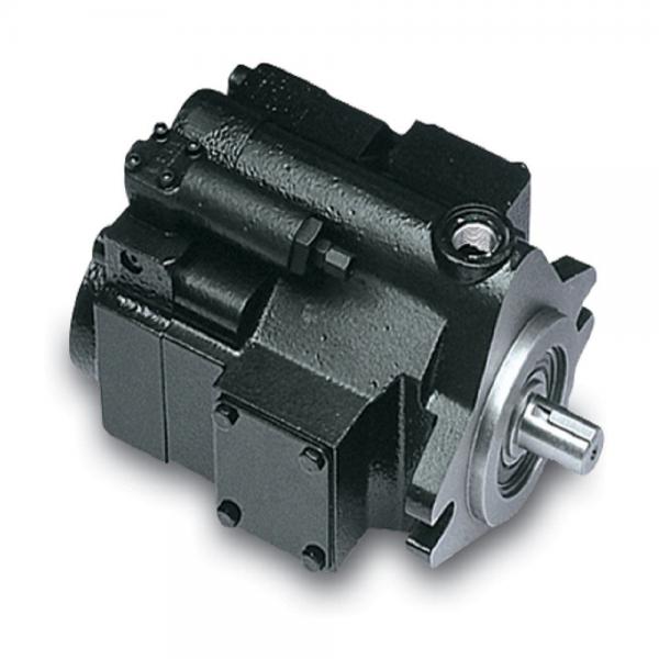 PAKER F12-080-MS-SN-T-000-000-0 Piston Pump #1 image